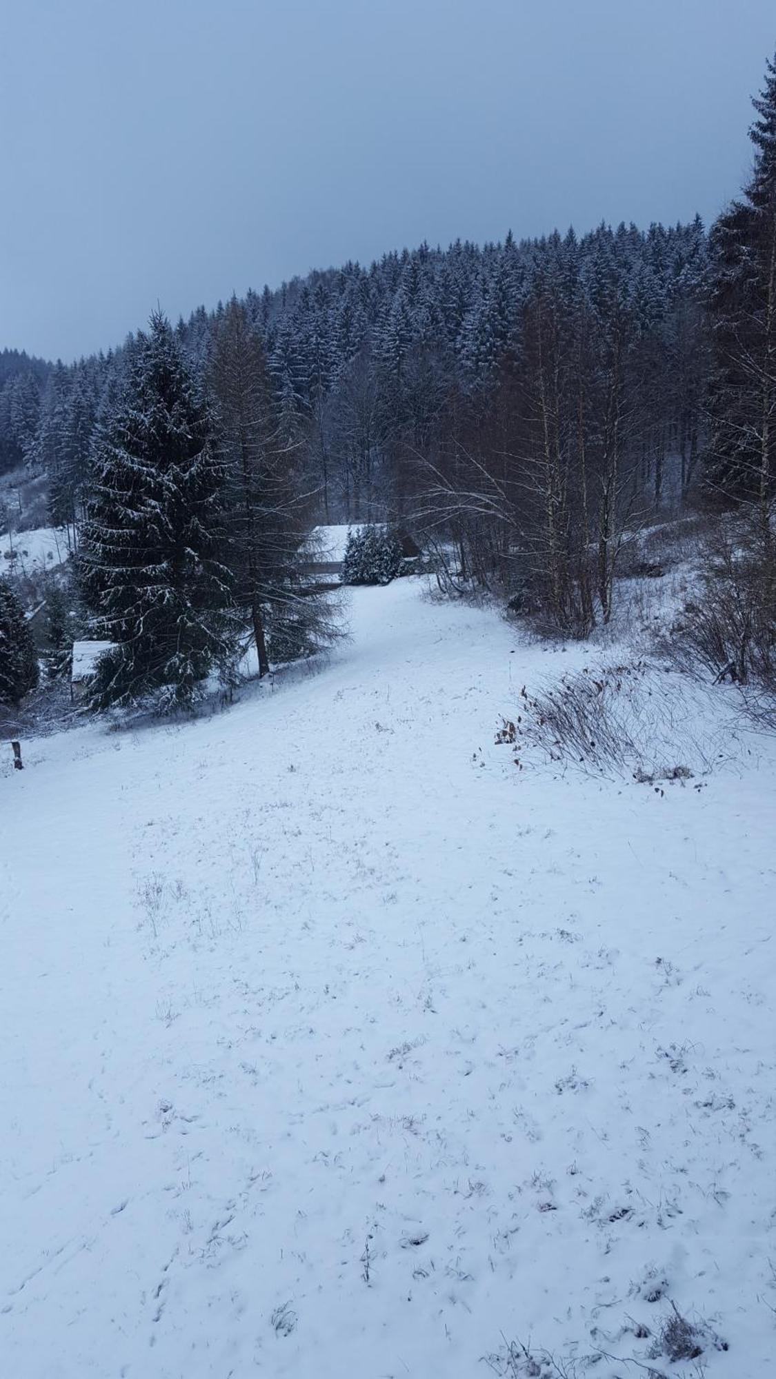 Monteur- Und Ferienwohnung Waldrauschen Fehrenbach Quarto foto