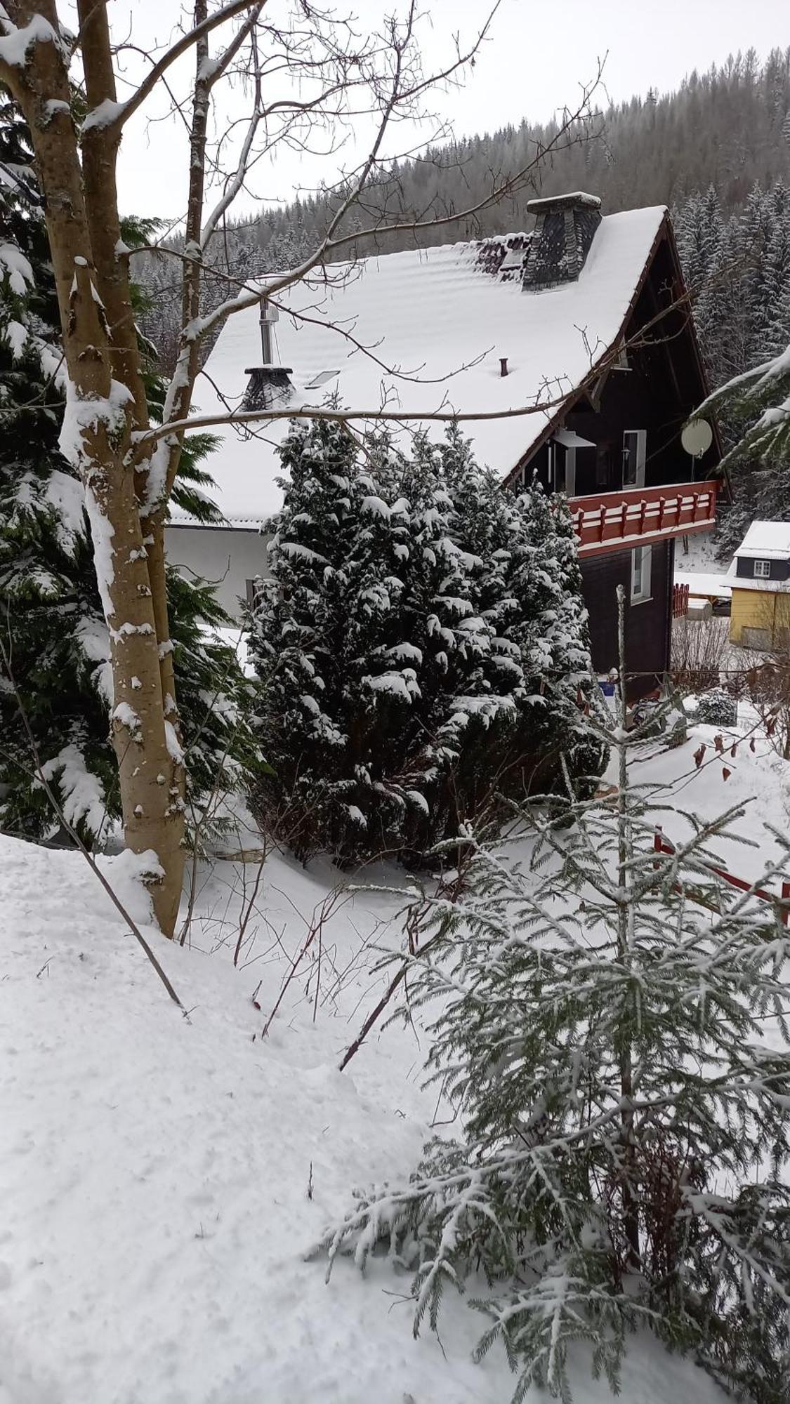 Monteur- Und Ferienwohnung Waldrauschen Fehrenbach Quarto foto